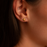 Clous d'oreilles étoile avec attache 6mm