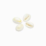 Breloques coquillages cauris naturels 17-22mm