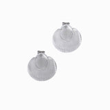 Clous d'oreilles coquillages plateau 14x10mm
