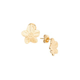 Clous d'oreilles fleurs 13mm