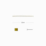 Tiges tête plate 5cmx0.7mm