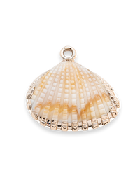 Pendentifs Coquillages