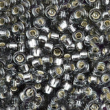 Miyuki Seed Bead 11/0 col 21 Silver Lined Gray