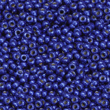 Miyuki Seed Bead 11/0 col 5111 Duracoat Galvanized Navy