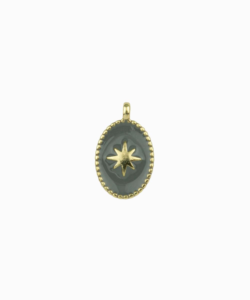 Médaille rose des vents émail doré 14x9mm