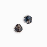 Perles en céramique coquillage 11x12mm