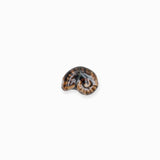 Perles en céramique escargot 11x21mm