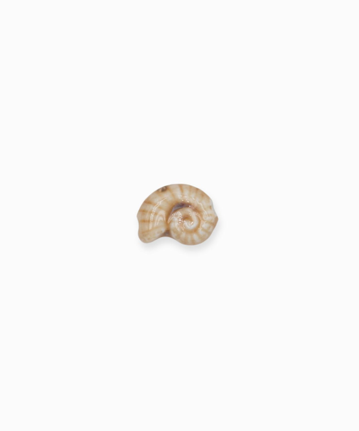 Perles en céramique escargot 11x21mm