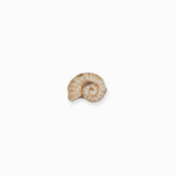 Perles en céramique escargot 11x21mm