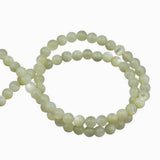 Perles rondes en nacre naturelle blanc 5mm