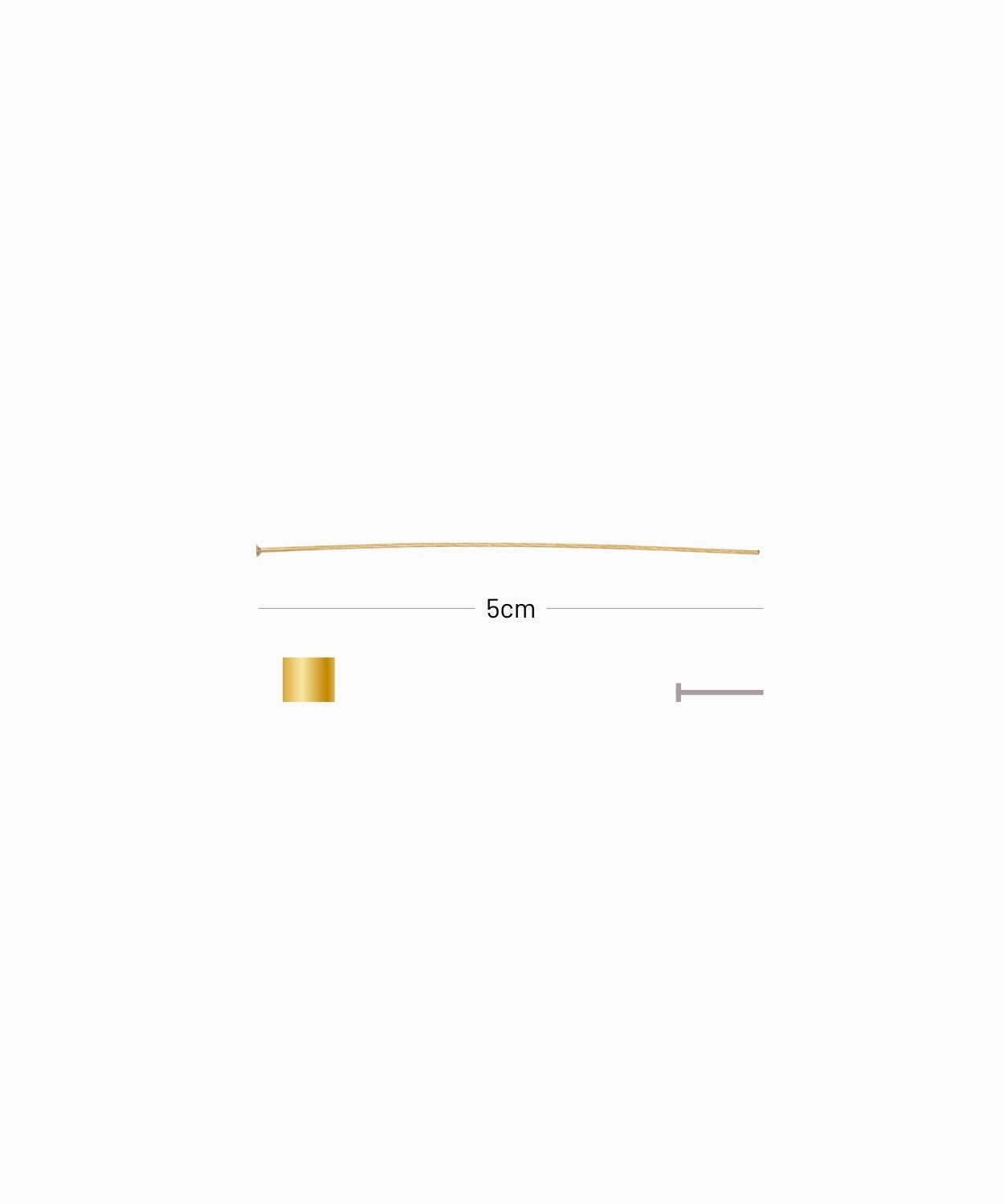 Tiges tête plate 5cmx0.5mm